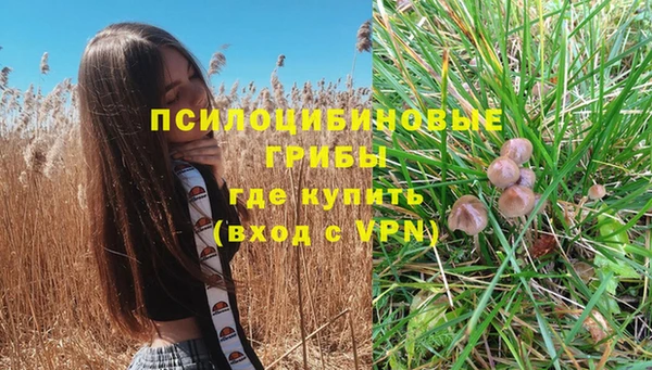 круглые Краснослободск