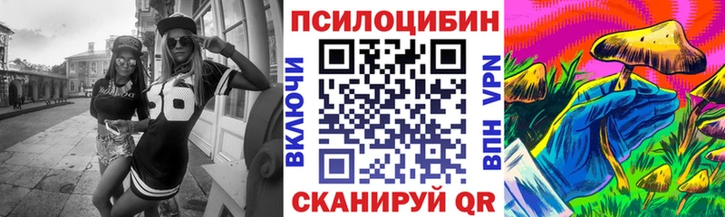 Галлюциногенные грибы Psilocybe  Купить где  Куртамыш 